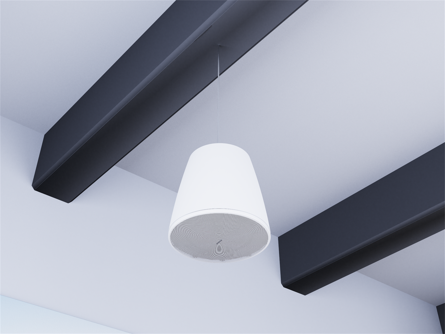 dm10p sub white from ceiling