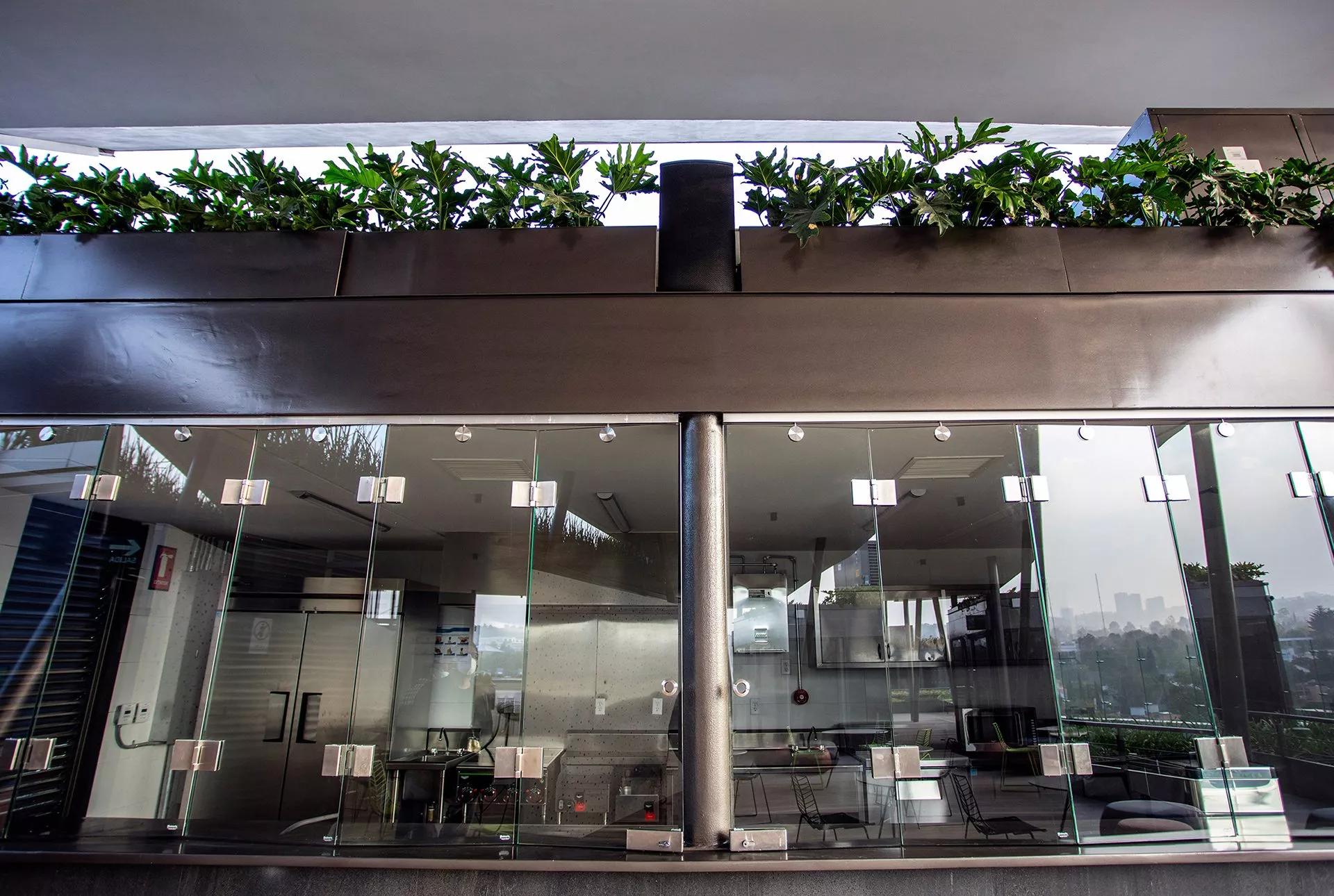 A view into a kitchen through glass panes