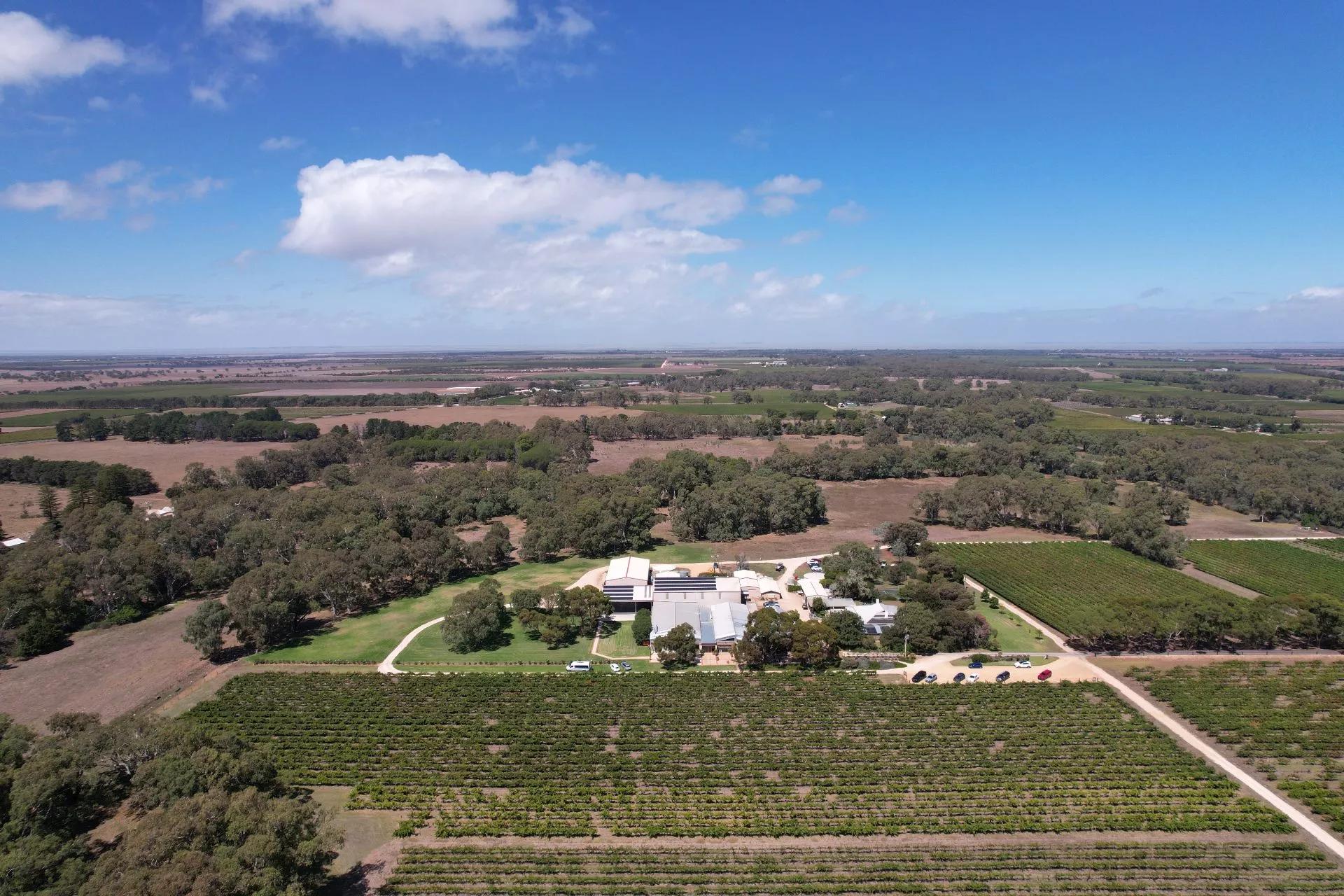 Panoramablick auf das Lake Breeze Weingut