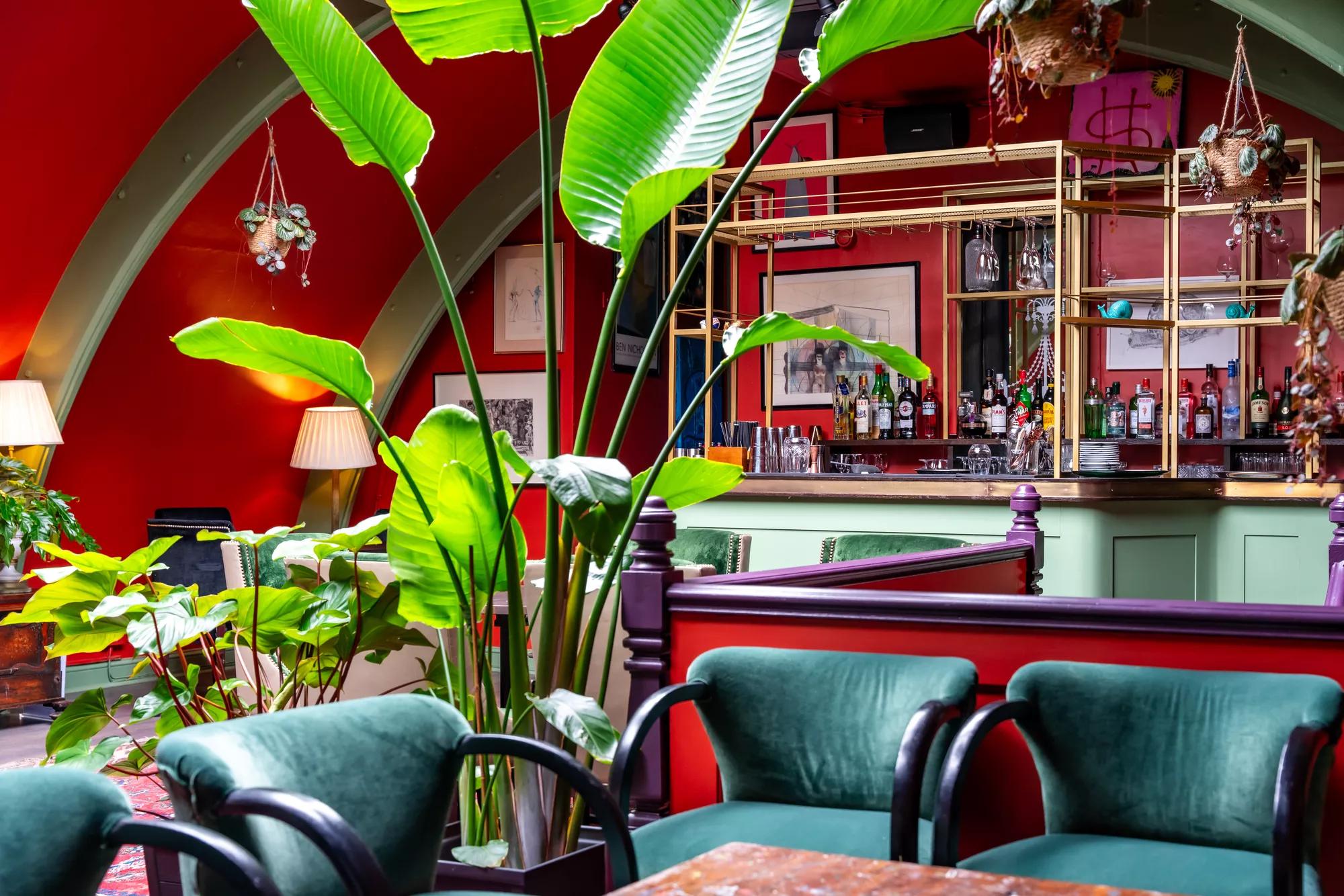 L'Escargot Lounge avec une plante en façade