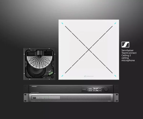 Bose Arbeit: ES1-Decken-Audio-Lösung